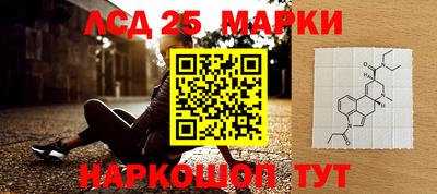 трава Кандалакша