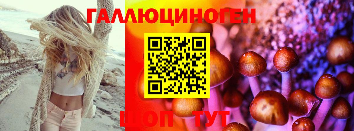 Псилоцибиновые грибы MAGIC MUSHROOMS  Вход с VPN  Спасск-Дальний 