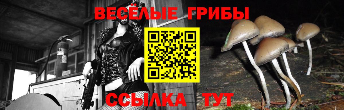 Псилоцибиновые грибы Magic Shrooms Спасск-Дальний